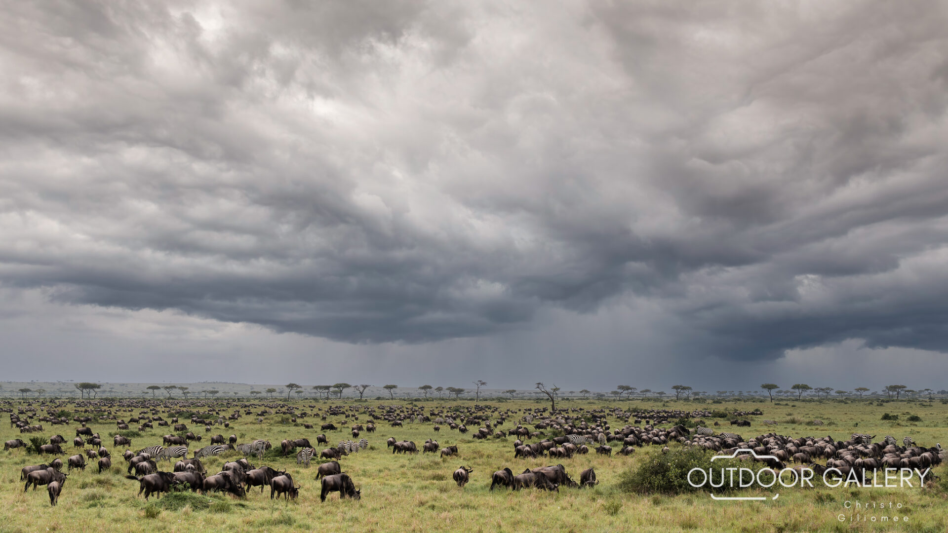 Mara Vista - Wall Art - christo giliomee outdoor gallery photography