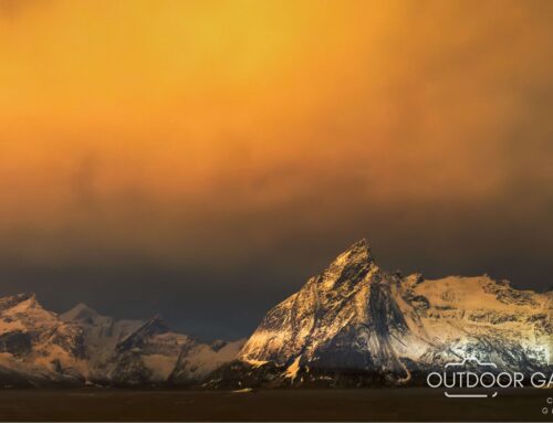 Lofoten in Northern Lights Season: Stay in the Red Rorbuer Cabins