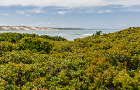 self catering accommodation mossel bay south africa - kanon private nature reserve 14