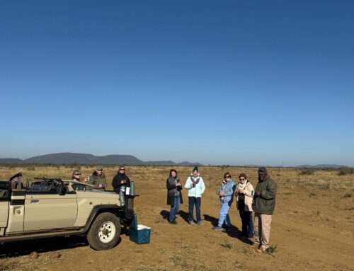 Guest Share Their Experience From Our Recent Madikwe Photographic Tour