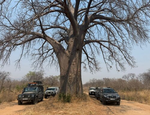 Rough Roads and Golden Moments – Our October Mana Pools Photo Safari Adventure