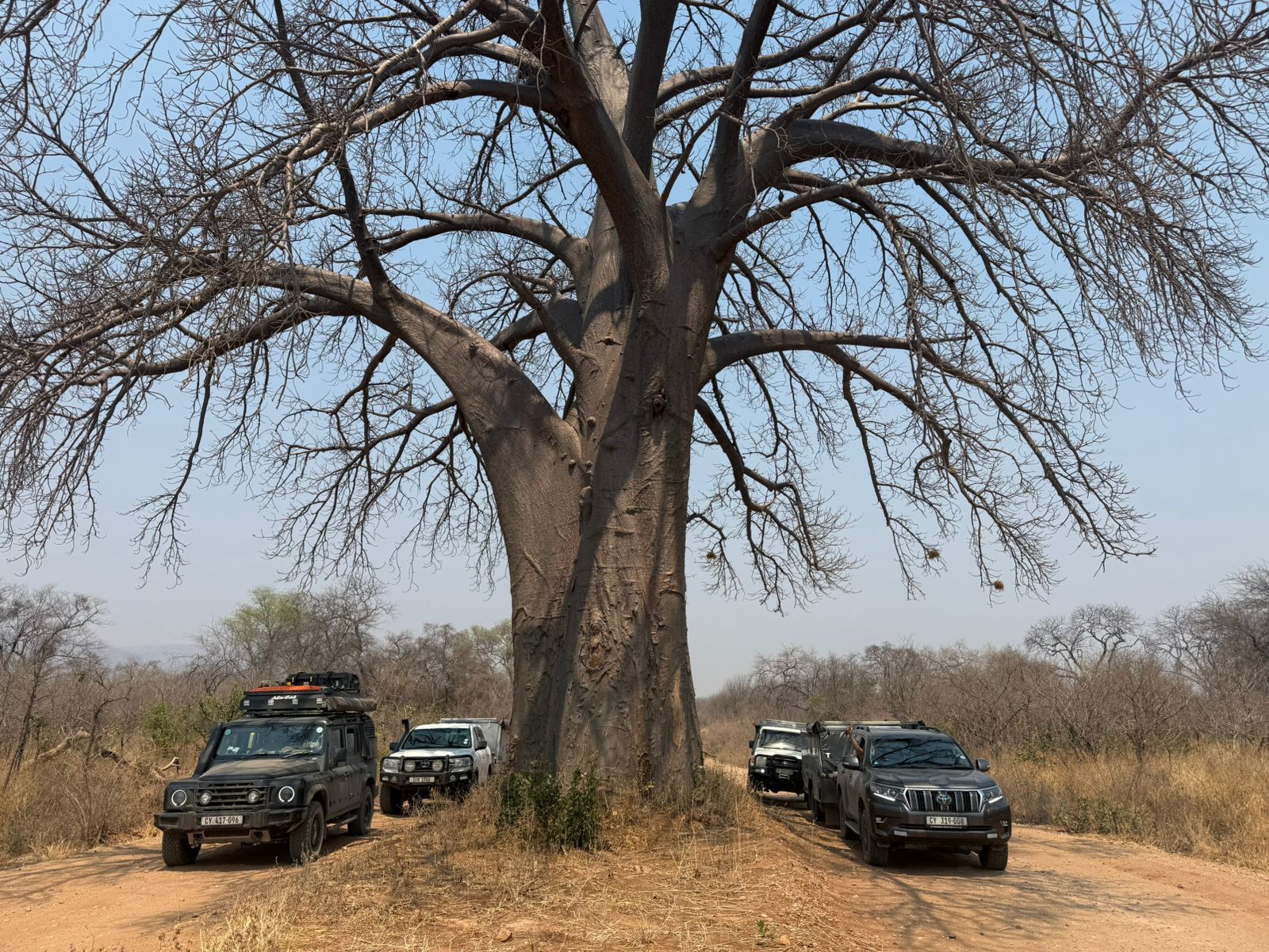 Mana Pools Botswana photo safari - chobe river photo safari - mana pools safari photo tour -6