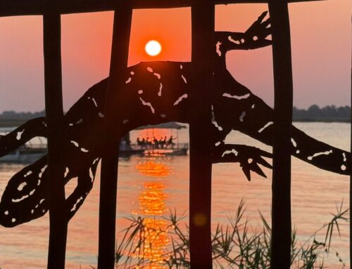 En route to Mana Pools