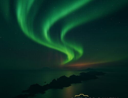 Northern Lights Forecast in Lofoten, Norway – When and Where to Go
